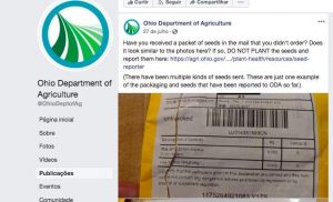 Departamento de Agricultura de Ohio, nos Estados Unidos, publicou alerta sobre as sementes nas redes sociais em julho(Foto: Departamento de Agricultura de Ohio/ Reprodução) 
